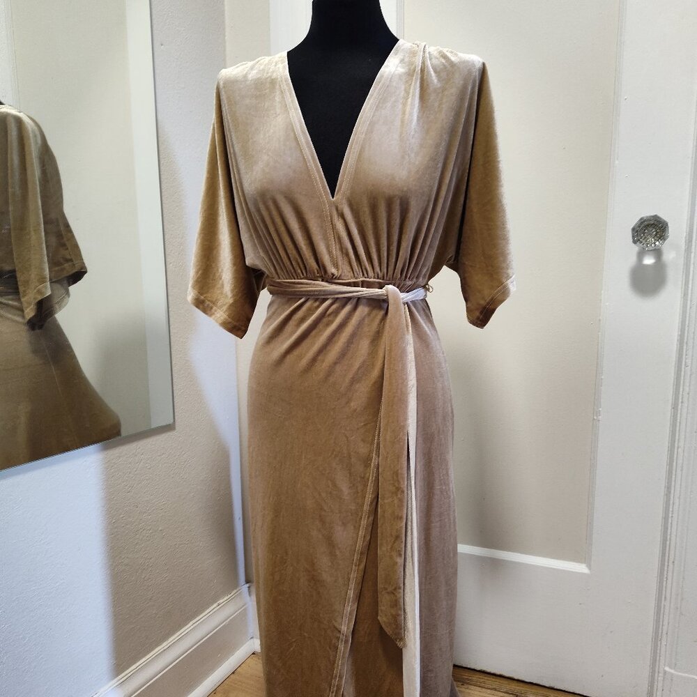Shimmering Fawn Colored Velvet Dress